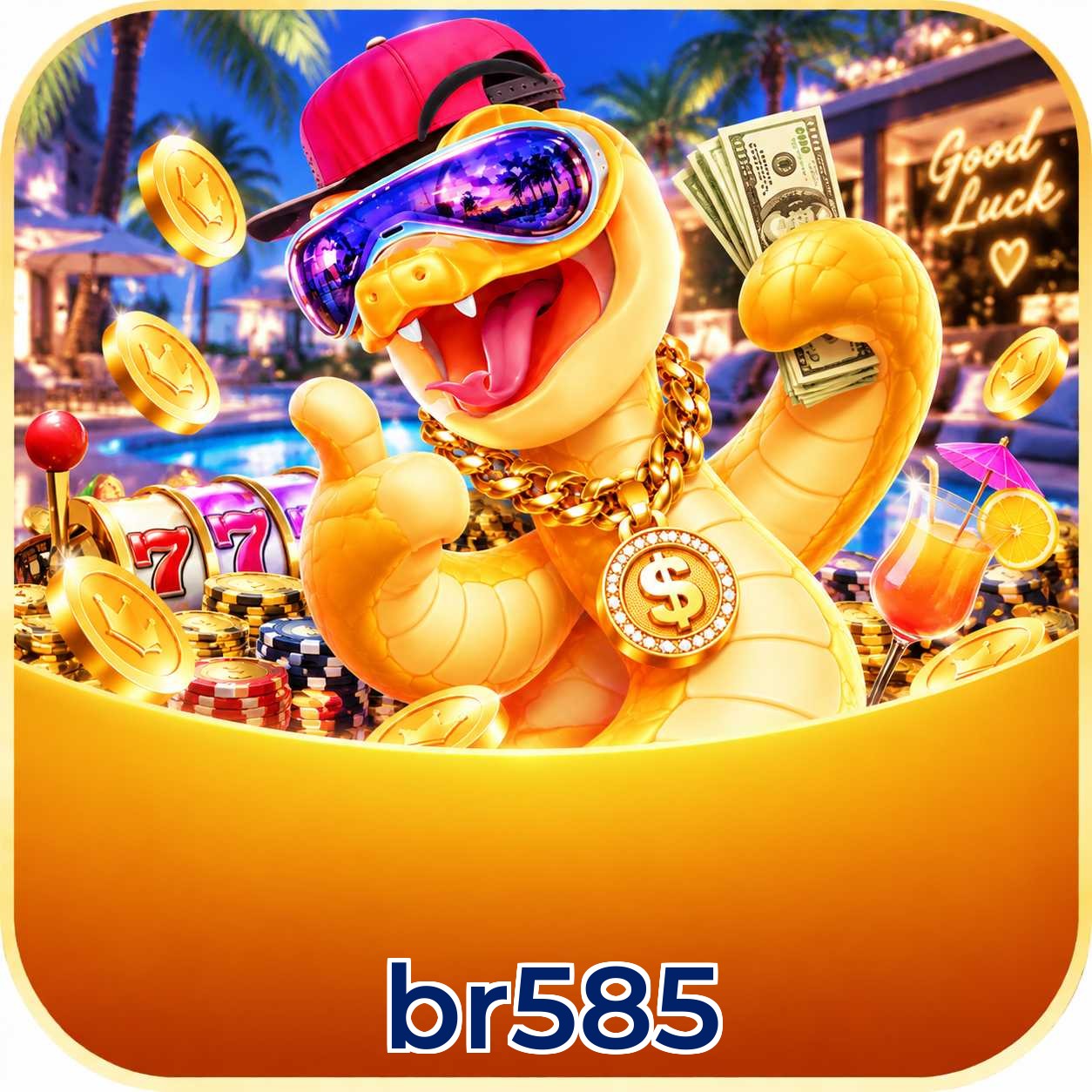 br585 Performance