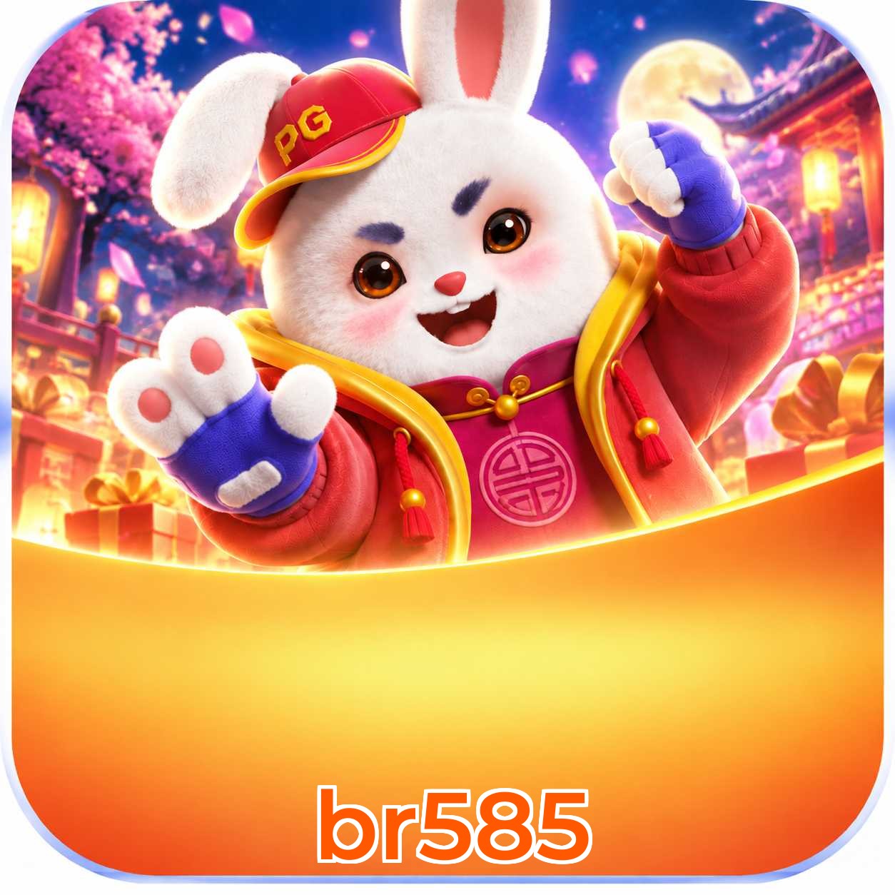 br585 Segurança