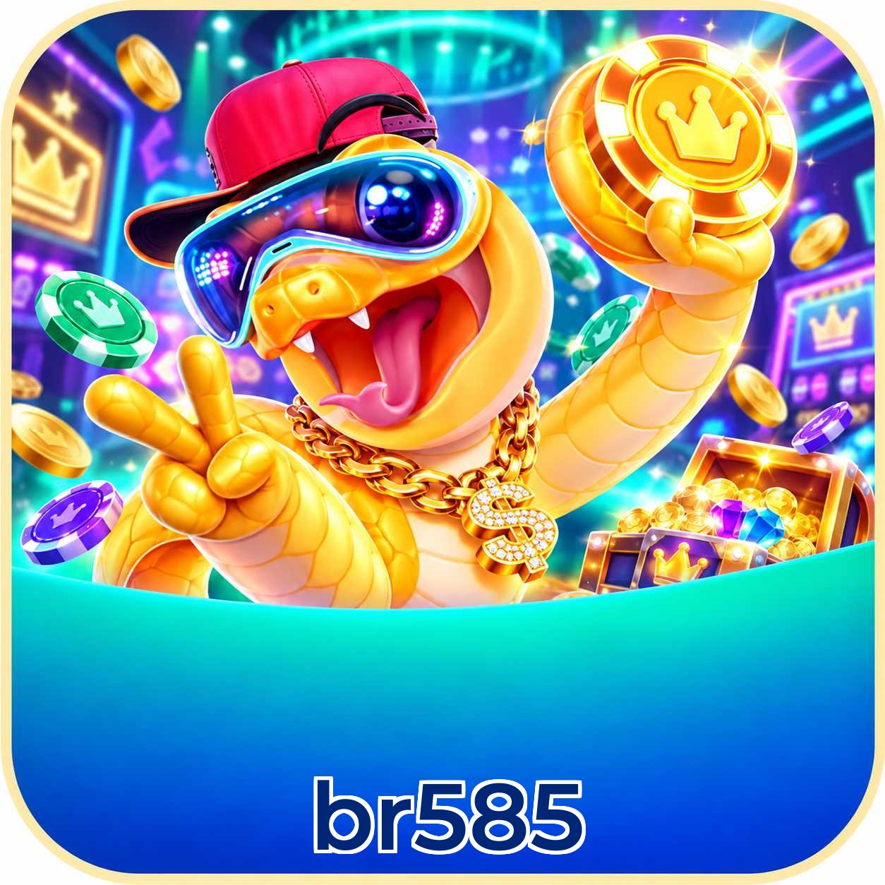 br585 Facebook Support